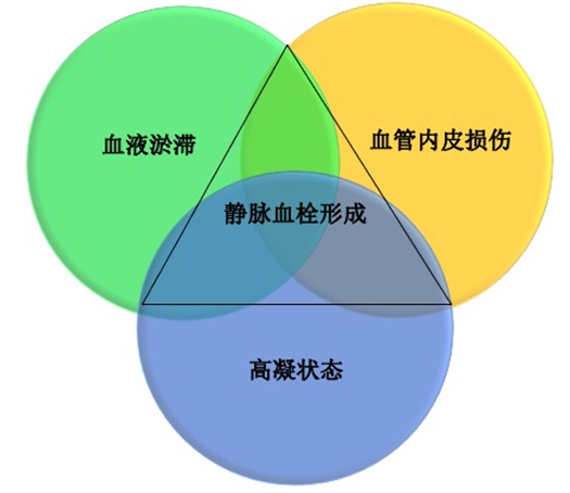 沉默殺手 VTE，如何進(jìn)行抗凝治療？三問搞懂
