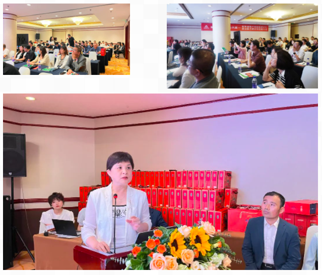 聚勢謀遠 合力共贏｜新希望醫(yī)療賦能醫(yī)院VTE防治能力建設(shè)項目推介會