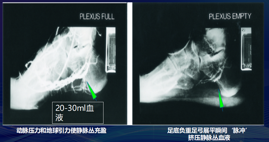 長途旅行 快樂相伴 健康相隨