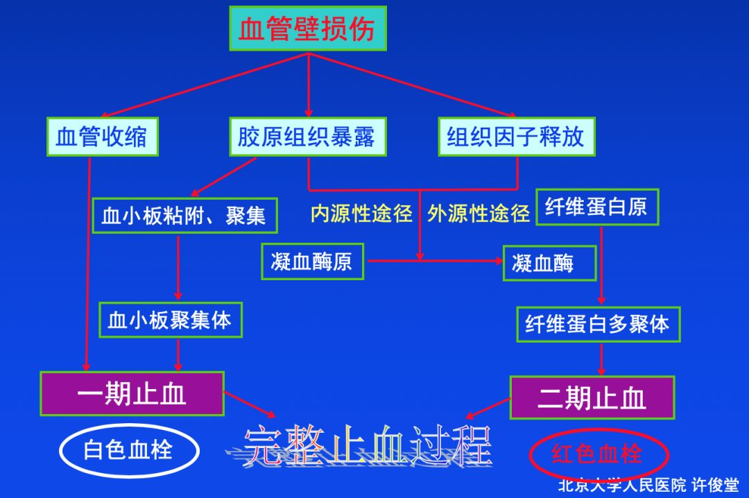 血栓形成，三個(gè)要素細(xì)分說(shuō)