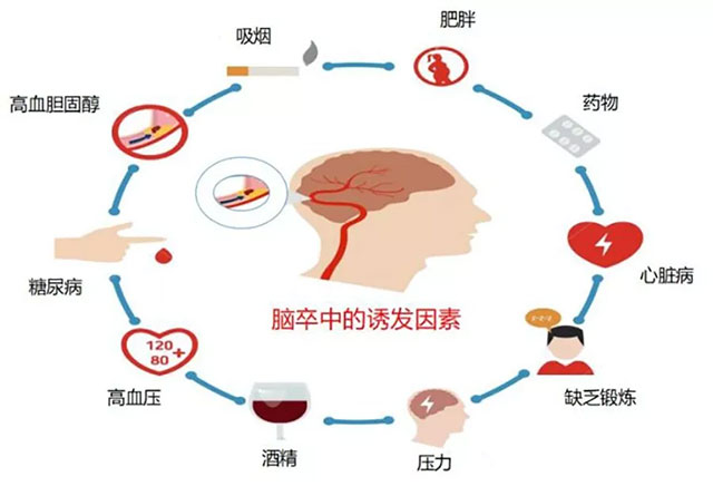 腦梗與深靜脈血栓：不可忽視的血管危機