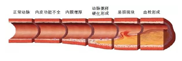 2微信截圖_20240412090457