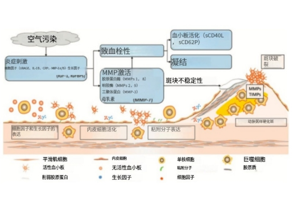 3微信截圖_20240412090457